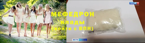 spice Богородицк