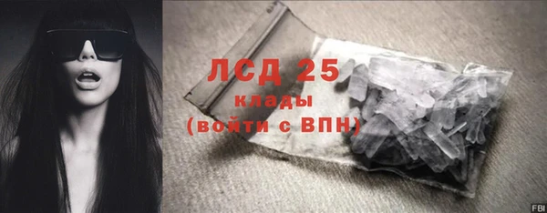 spice Богородицк