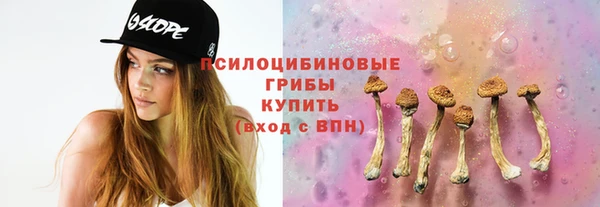spice Богородицк
