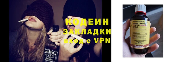 соль ск Няндома