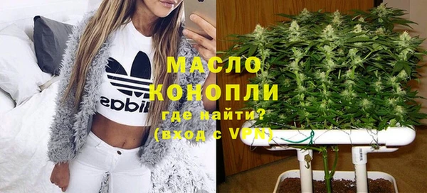 СК Богородск