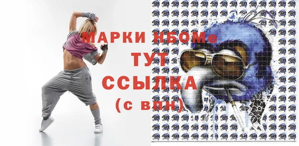 spice Богородицк