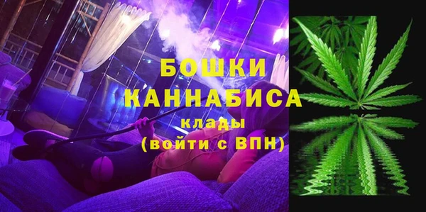 СК Богородск