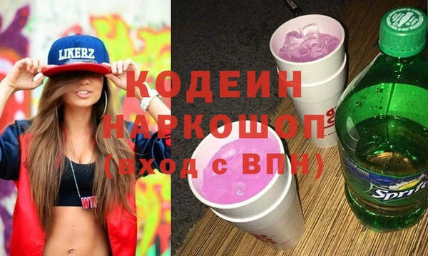 spice Богородицк