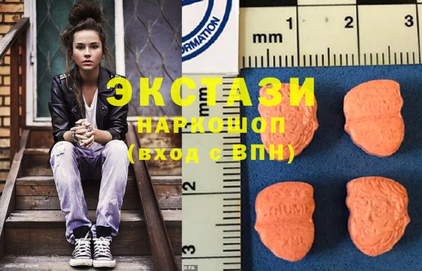 spice Богородицк