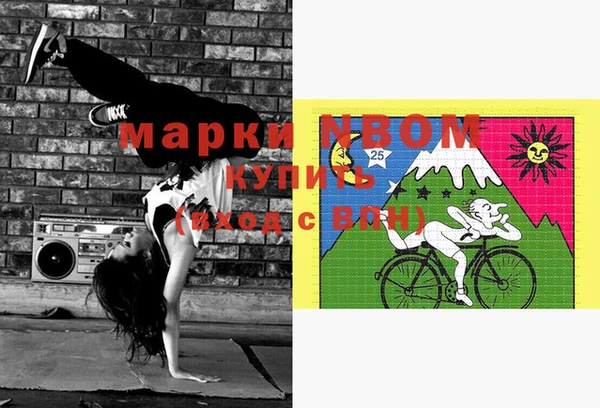 spice Богородицк